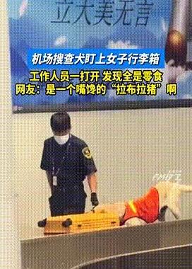 “误会大了！”天津，一女子通过机场安检时，搜查犬忽然盯上了她的行李箱，随后就疯狂
