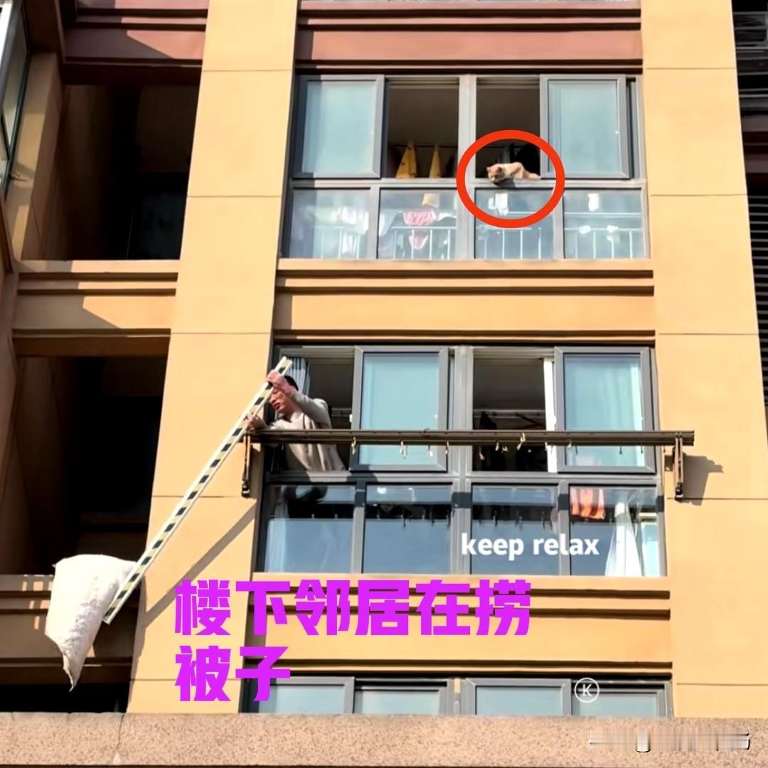 楼下邻居家晒的被子，被吹到楼道的窗台上去了。男子拿着长杆，想要把被子捞回来，可惜