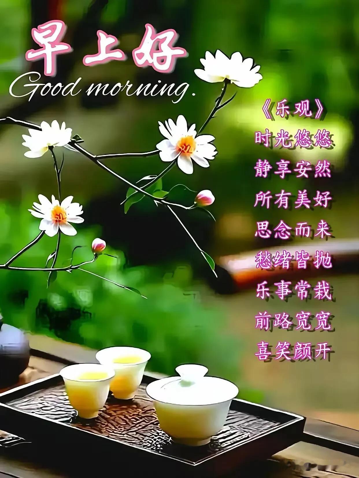 清茶一盏，野花初绽。时光悠悠，静享安然。早上好！