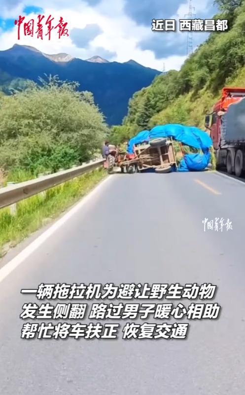 “太有格局了！”近日，西藏，男子开车外出时，发现前方一辆满载货物的拖拉机侧翻，司