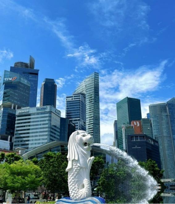 短短五年，香港和新加坡的经济差距被拉开了一大截。2019年香港GDP3660亿美