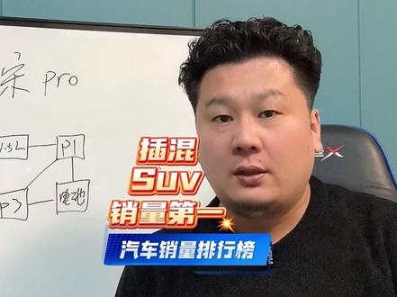 比亚迪宋Pro：2025年插电混动SUV销量冠军