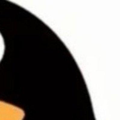 0700心存善念,阳光就会照耀你;心存美丽,温暖就会围绕你;心存大爱,崇高就会追