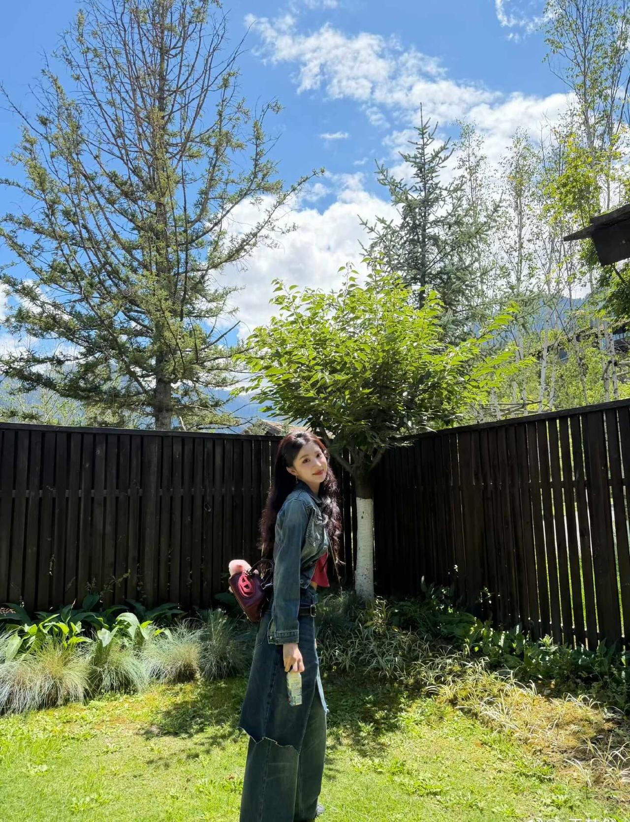 太美了王楚然现在就出发住进森林里去有风的地方旅行住进大自然@王楚然