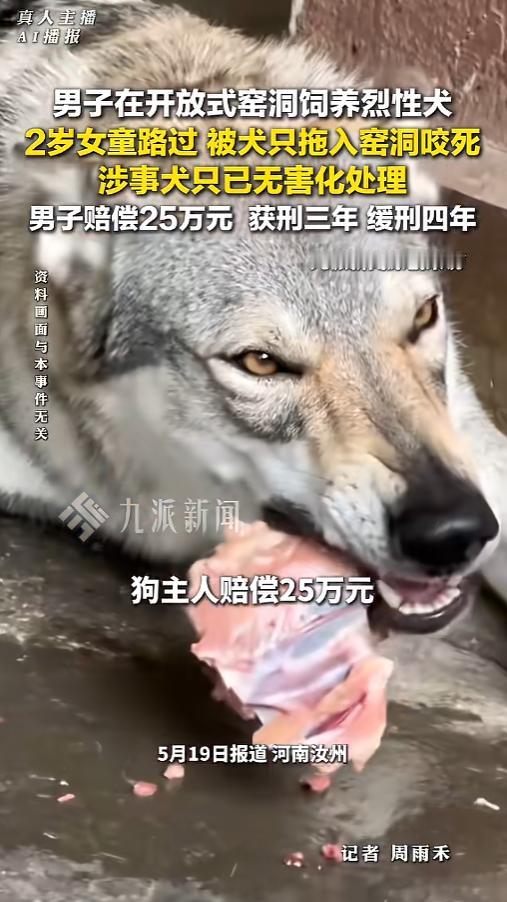 “悲剧还是发生了！”5月19日报道，河南汝州，一男子违规饲养烈性犬，还将其安置在