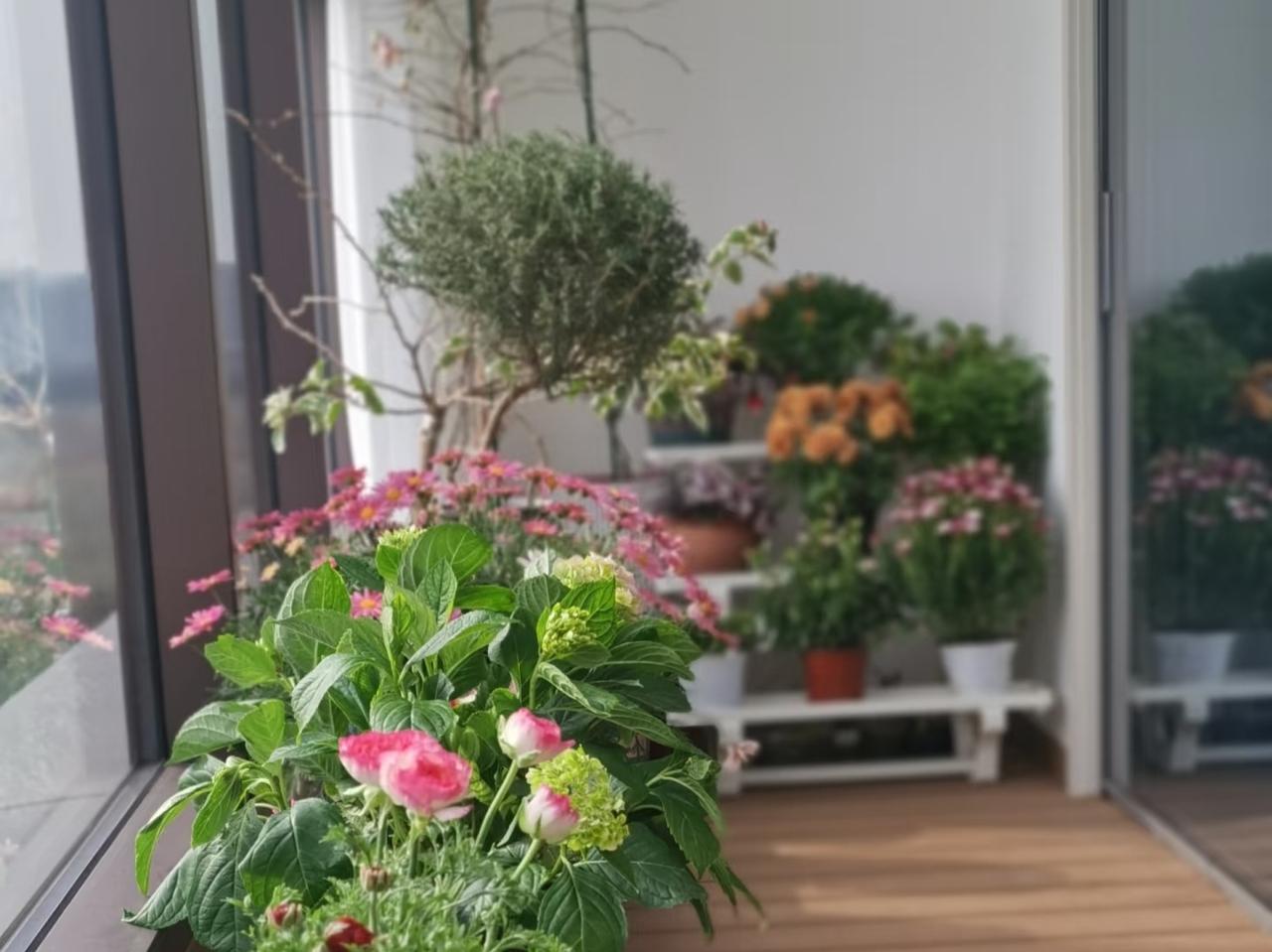 大部分的老人退了休应该跟我一样，虽然工资低，但我们不会再出去找工作。我58，退
