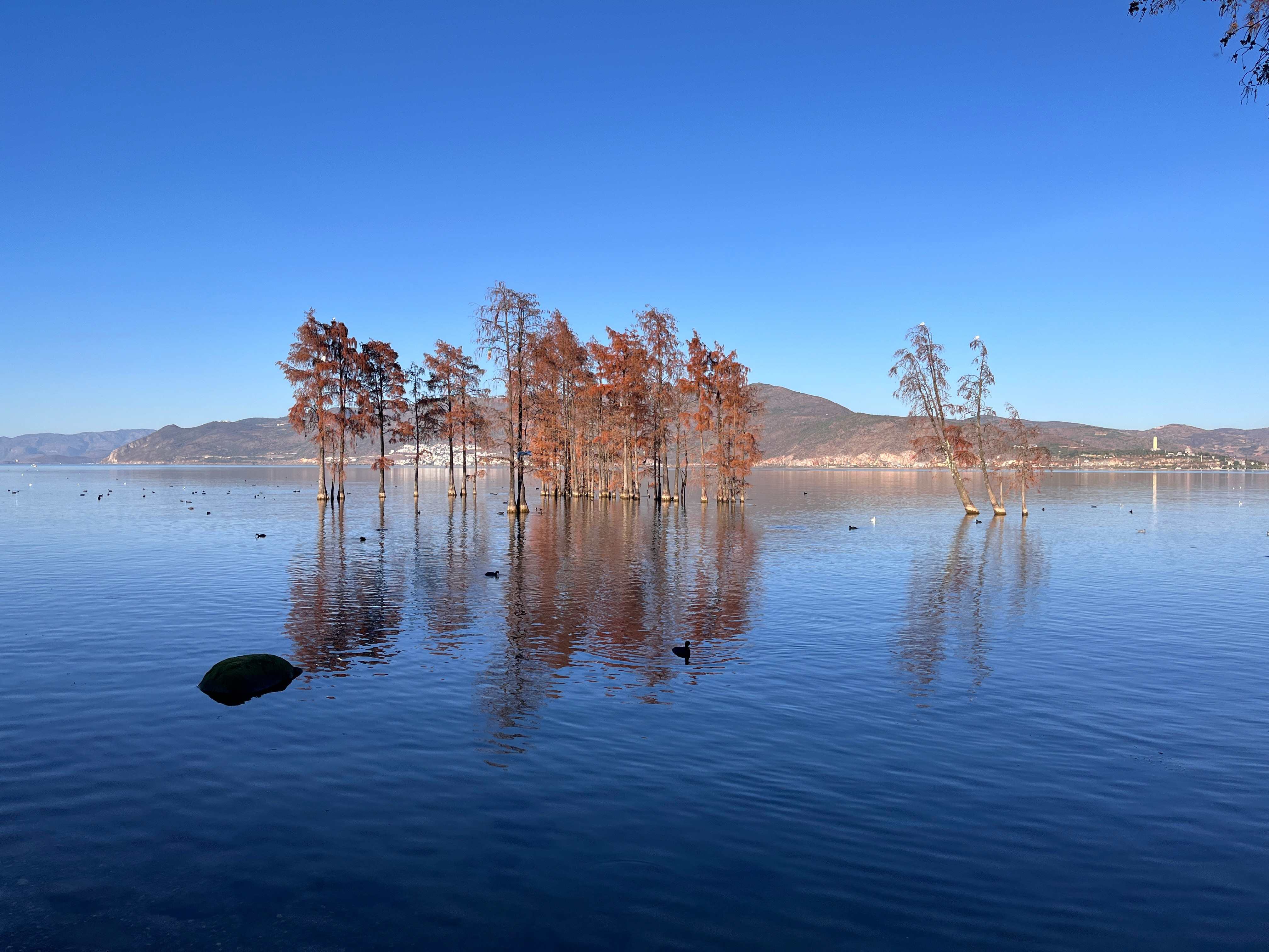 每天开心就会每天都漂亮🌤️大理洱海云南旅行旅拍大理·大理古城