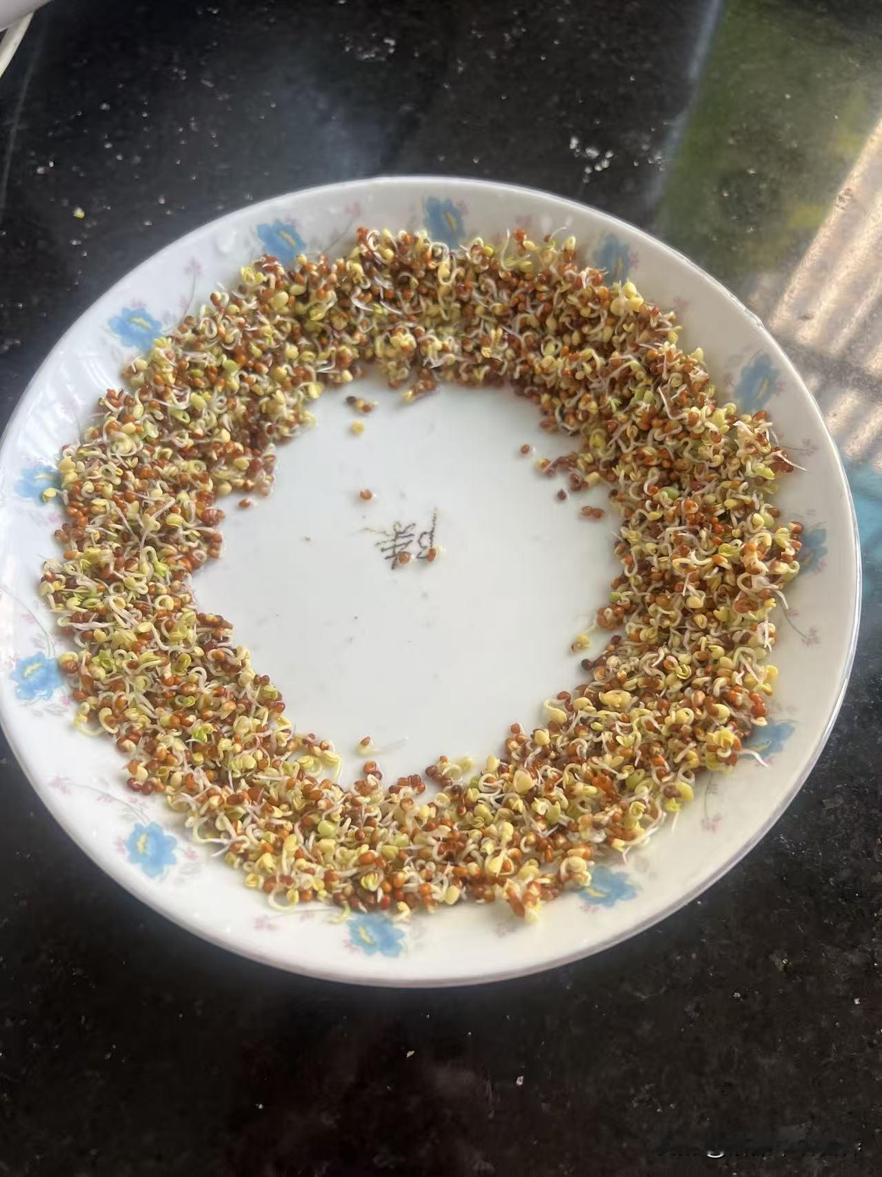 哪些食物更有营养食物最有营养的2个状态，一个是发芽，一个是发酵，发芽是激活了