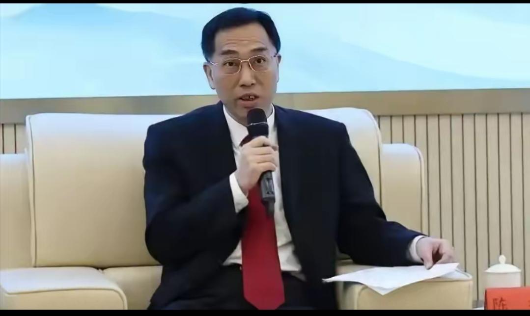 全网热议！建议清退中小学所有外教，太清醒了！不得不说，陈枫教授的提议，真的