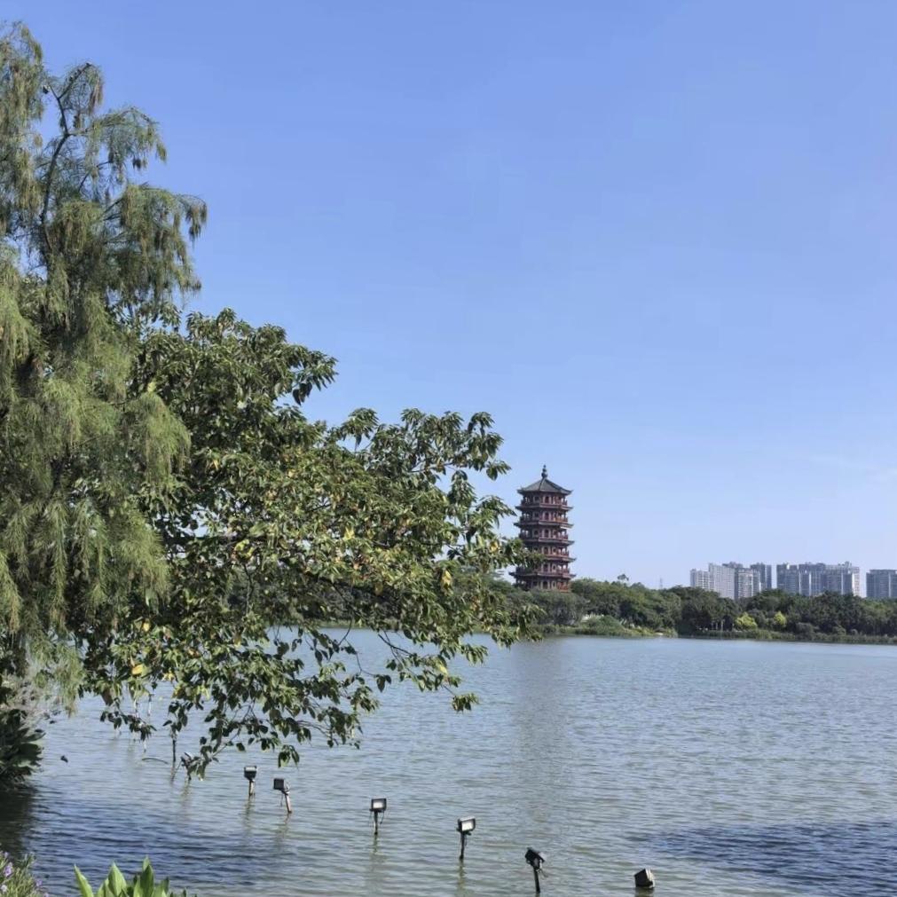 大姐被强制退休后拉黑公司，一通回拨电话，道尽成年人最狠的清醒。公司有个五十