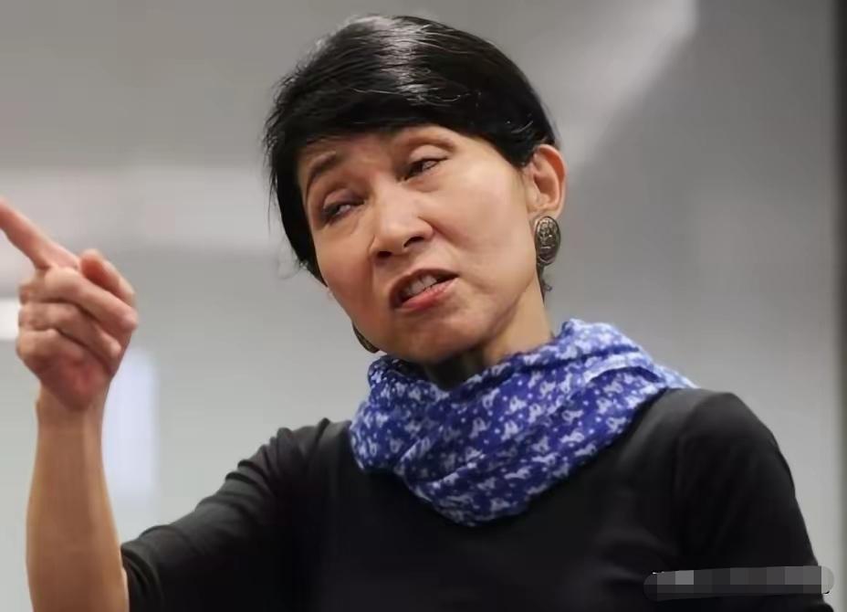 “我又不是中国人，为什么要唱国歌？”2017年的香港立法会宣誓环节中，经验丰富的