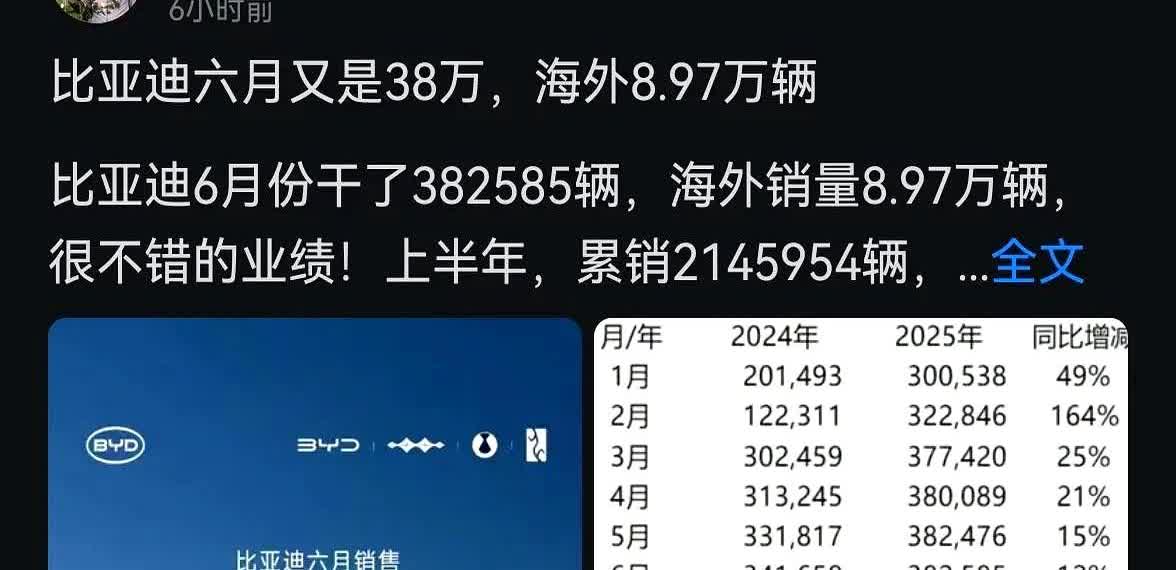 比亚迪确实就是