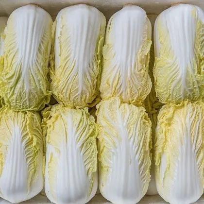 1月24日，一媒体报道，浙江台州一对夫妻因吃了网购的娃娃菜鼻子出血，口腔起血泡等