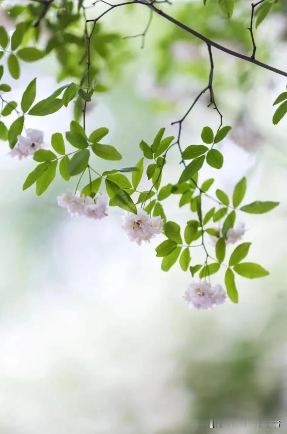 如何才能使一个人变得淡定、从容想变得淡定从容，其实不用硬扛，核心就俩字：“