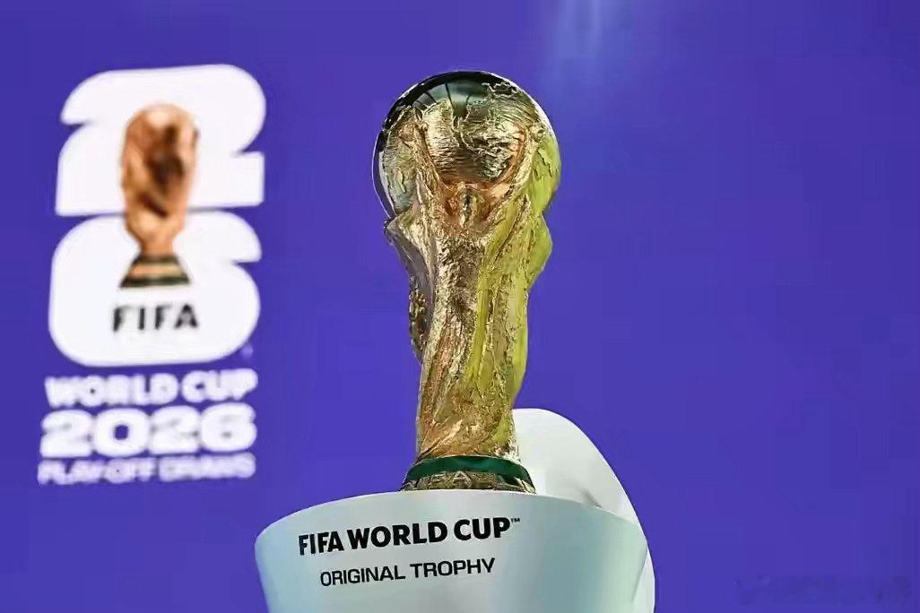 ●截至2026年5月2日，中国央视（CCTV）仍未正式宣布放弃2026美加墨世界