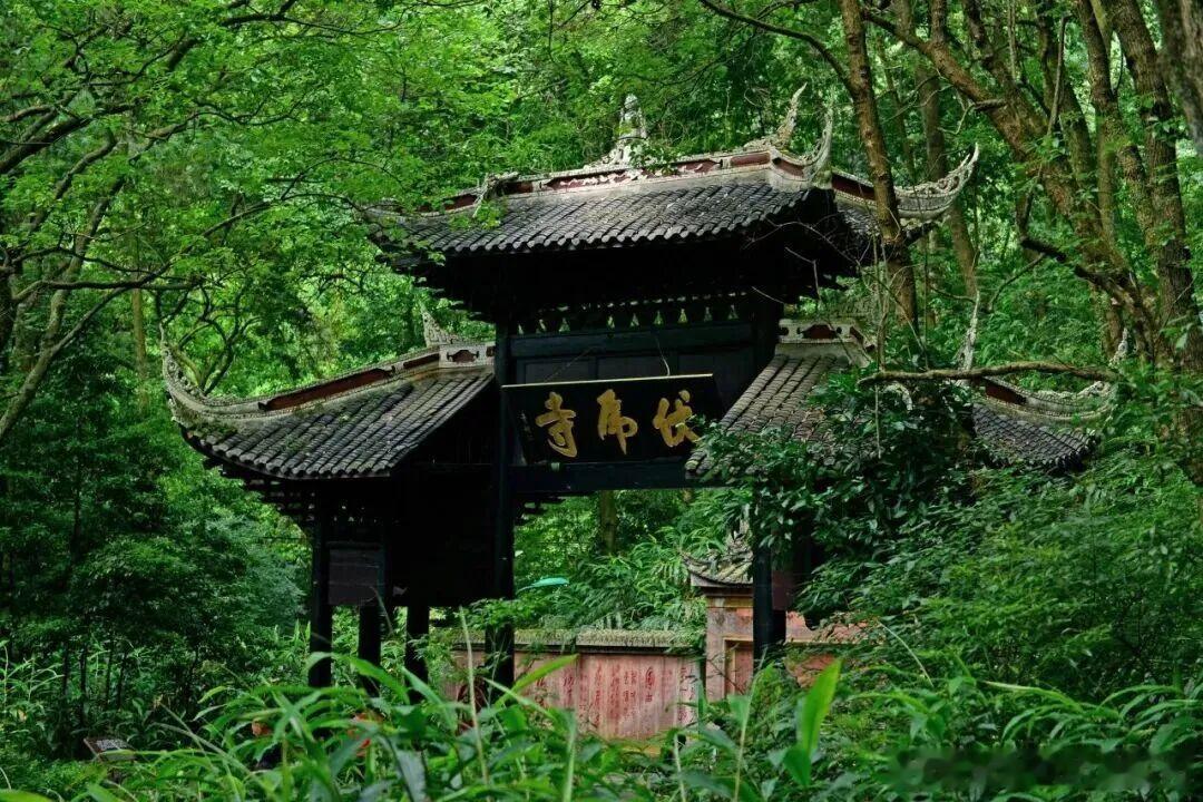 春天的峨眉山逛完，夏天的清凉秘境该安排上了！盛夏城区热浪裹得人喘不过气，峨眉山完