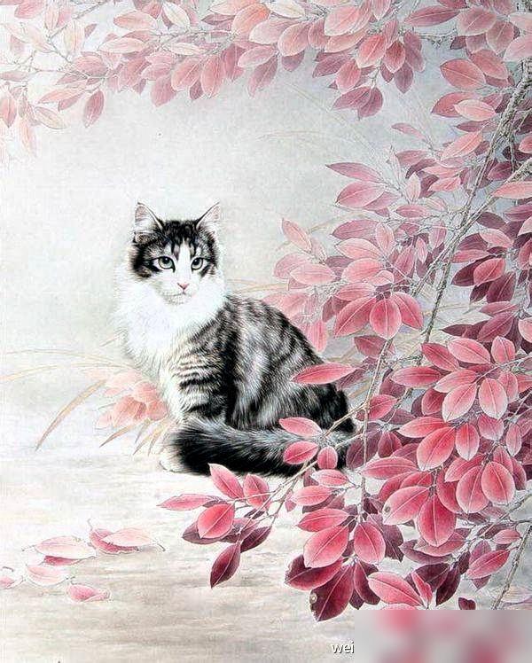 你有没有发现？​会过和不会过，​日子差得可远了。​核心就一点：​