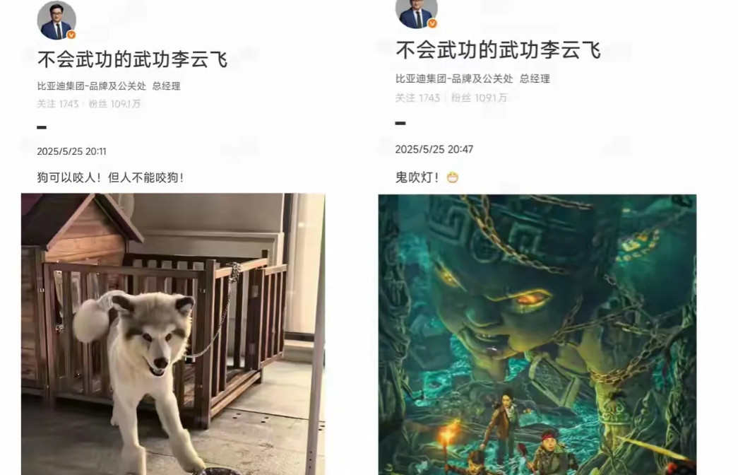 比亚迪品牌与公关处总经理李云飞这么直白吗？老魏说的话，固然难听，但也不是没有