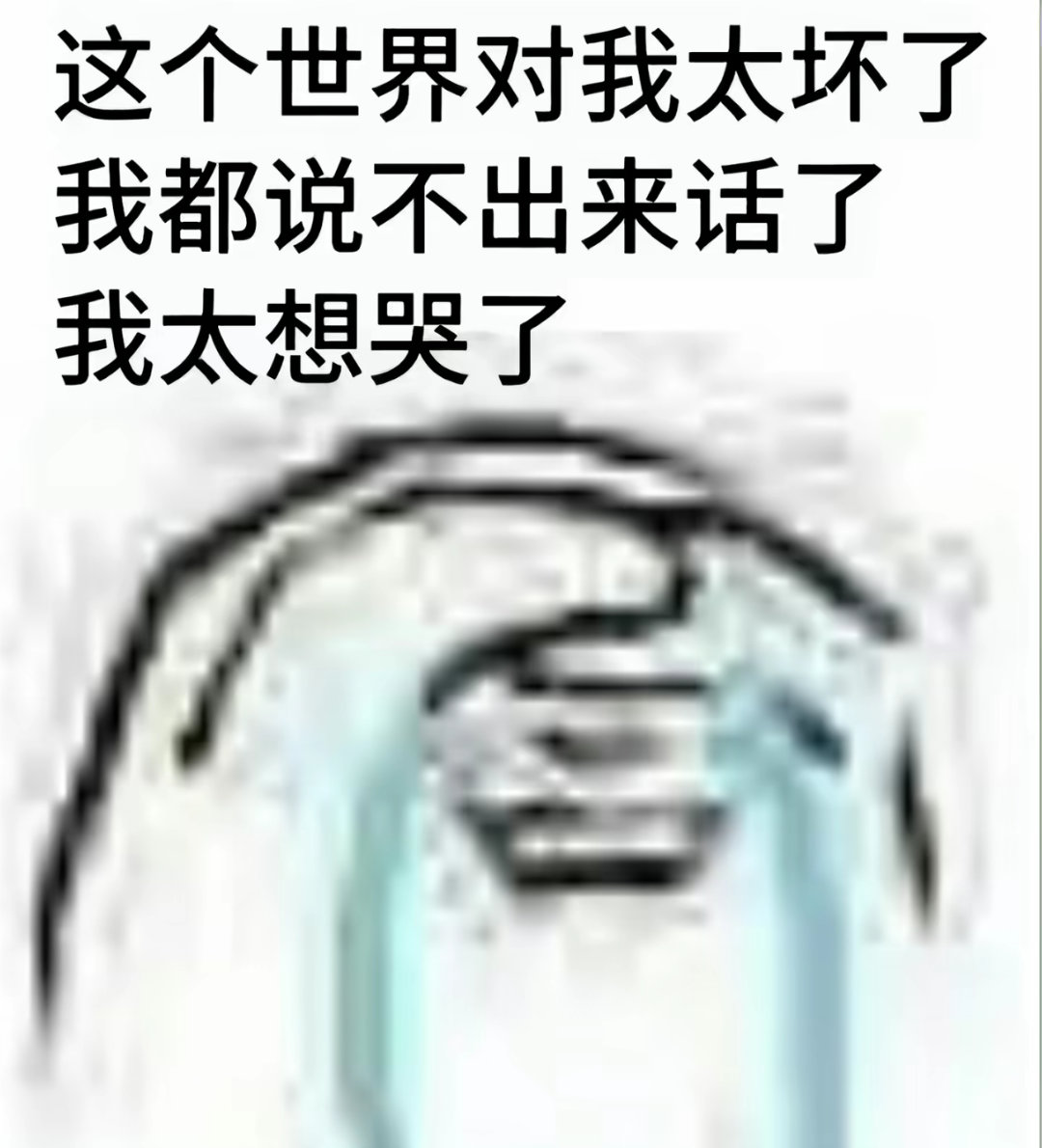 从起来到现在一直哭命运你继续吧
