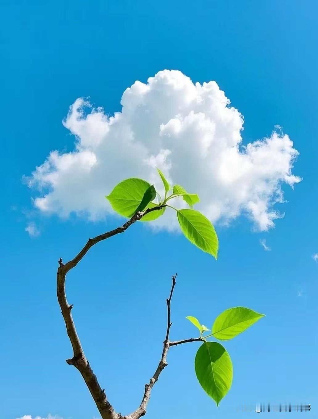 发现没？2026年的天气太反常了！眼瞅着马上就六一儿童节了，往年这时候，孩子