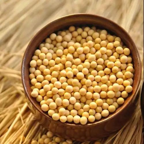 盛产全球最多大豆的欧美，为啥从不吃豆腐？巴西、美国、阿根廷，几乎垄断了全世界的
