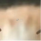 00000020250101葡萄的种植方法：1、翻整田地葡萄应该在地势平坦、土层