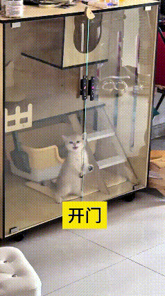 我来回看了好几遍视频，实在是太有意思了。小猫被关在猫柜里面，急得不停叫唤，小爪子