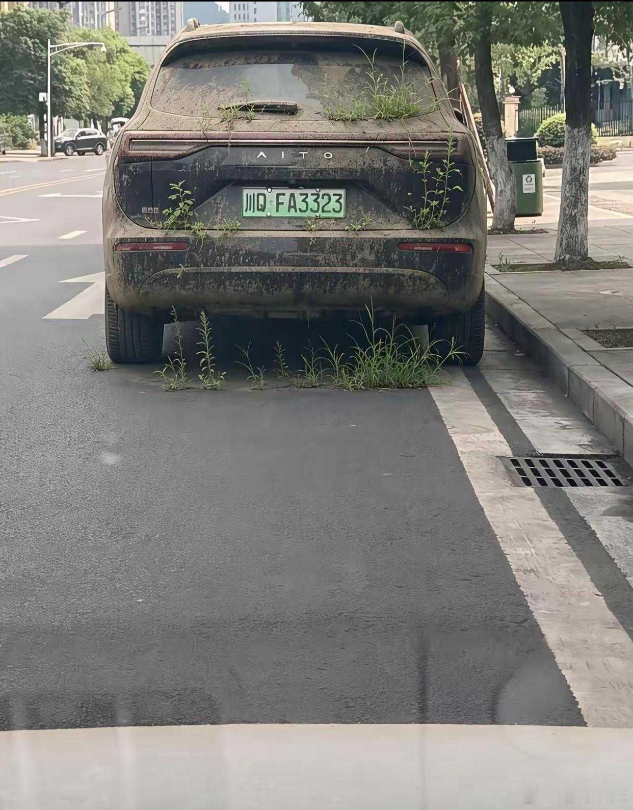 这车买来种草的吗