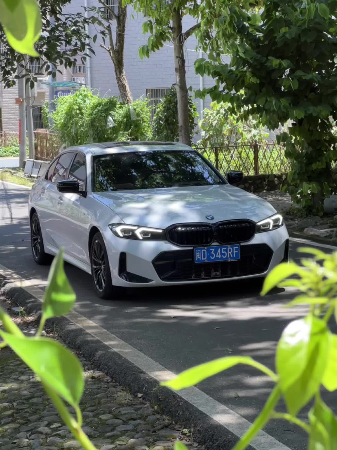白色的宝马3系天天看，想看看你们其它颜色的宝马3系