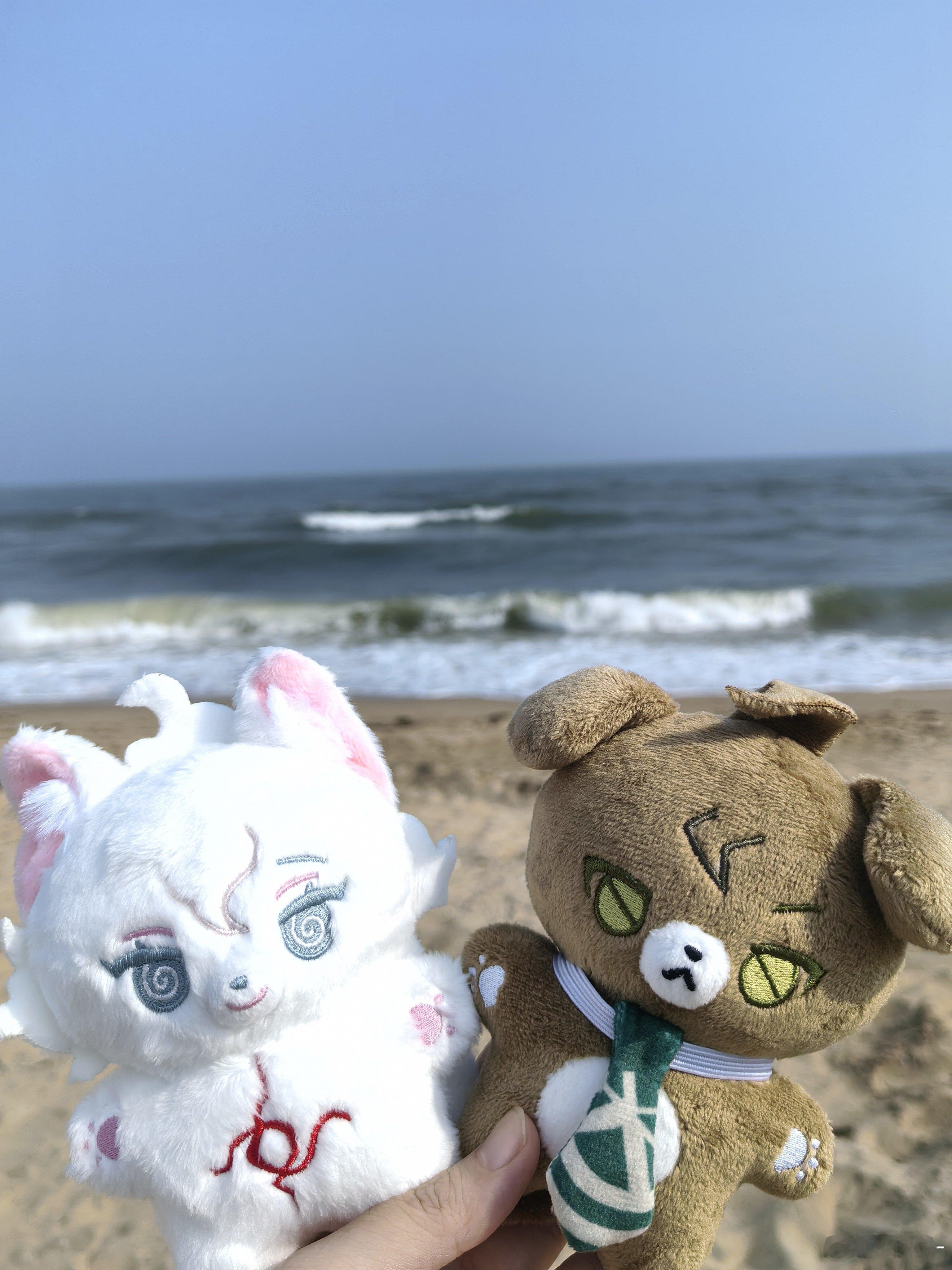 小猫小狗去看海