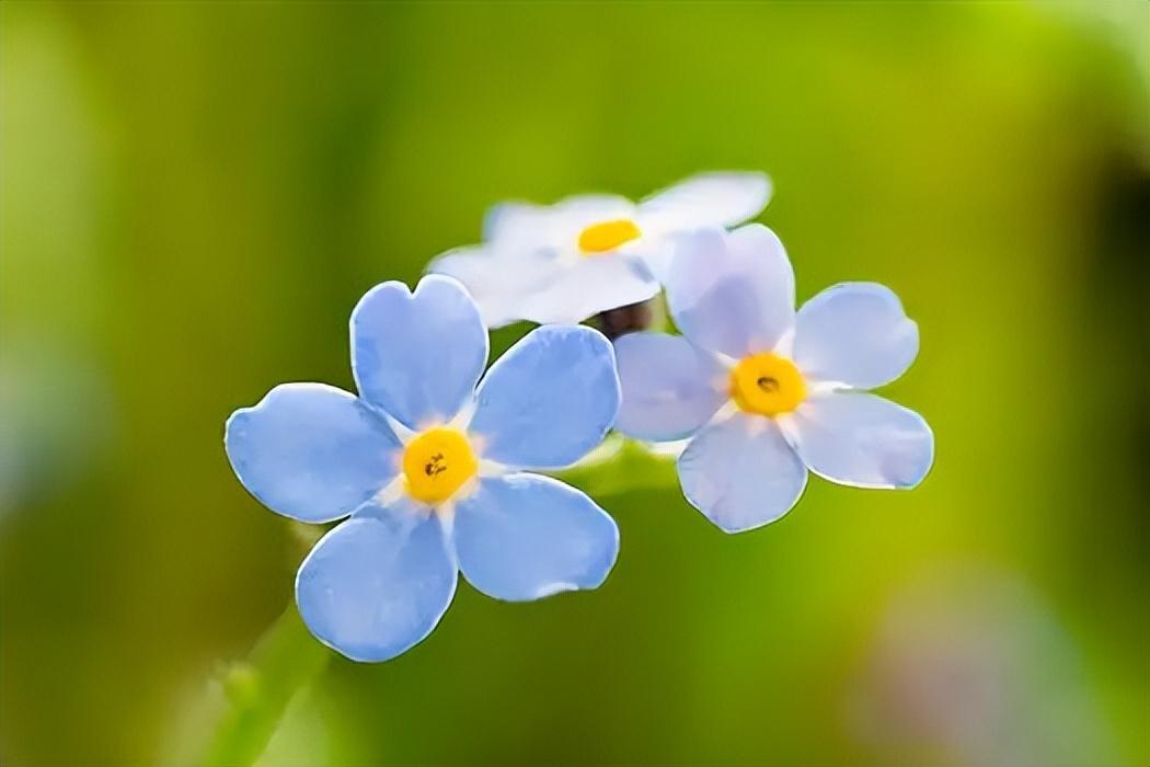 人生过半，才彻底明白，人除了生死，一切都是小事。人这一生，总是要吞下很多的委屈