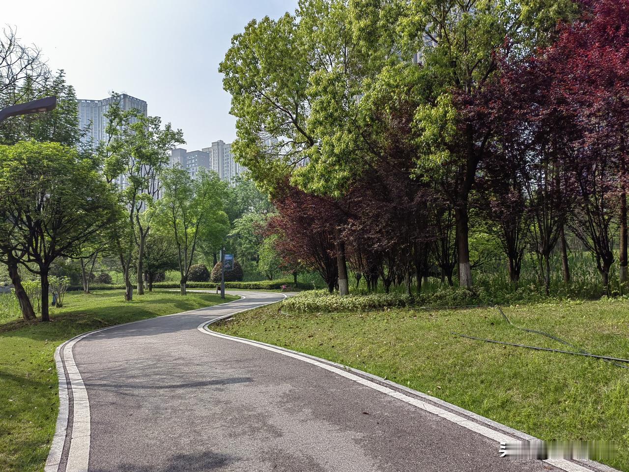 日渐疏远的发小我与果儿，小时候住在一起，我们一起去上学一起放学回家，一