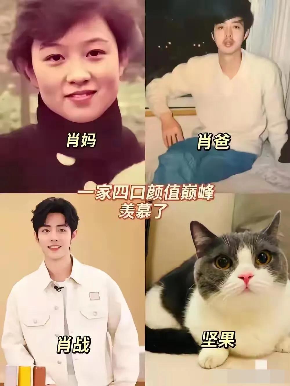 肖战真的十分孝顺！肖战：如果说有七天假期，应该会带着爸妈跟朋友一起到欧洲