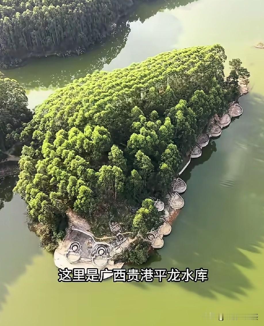 确定这是钓位[笑着哭]白天还好，晚上感觉有点瘆得慌
