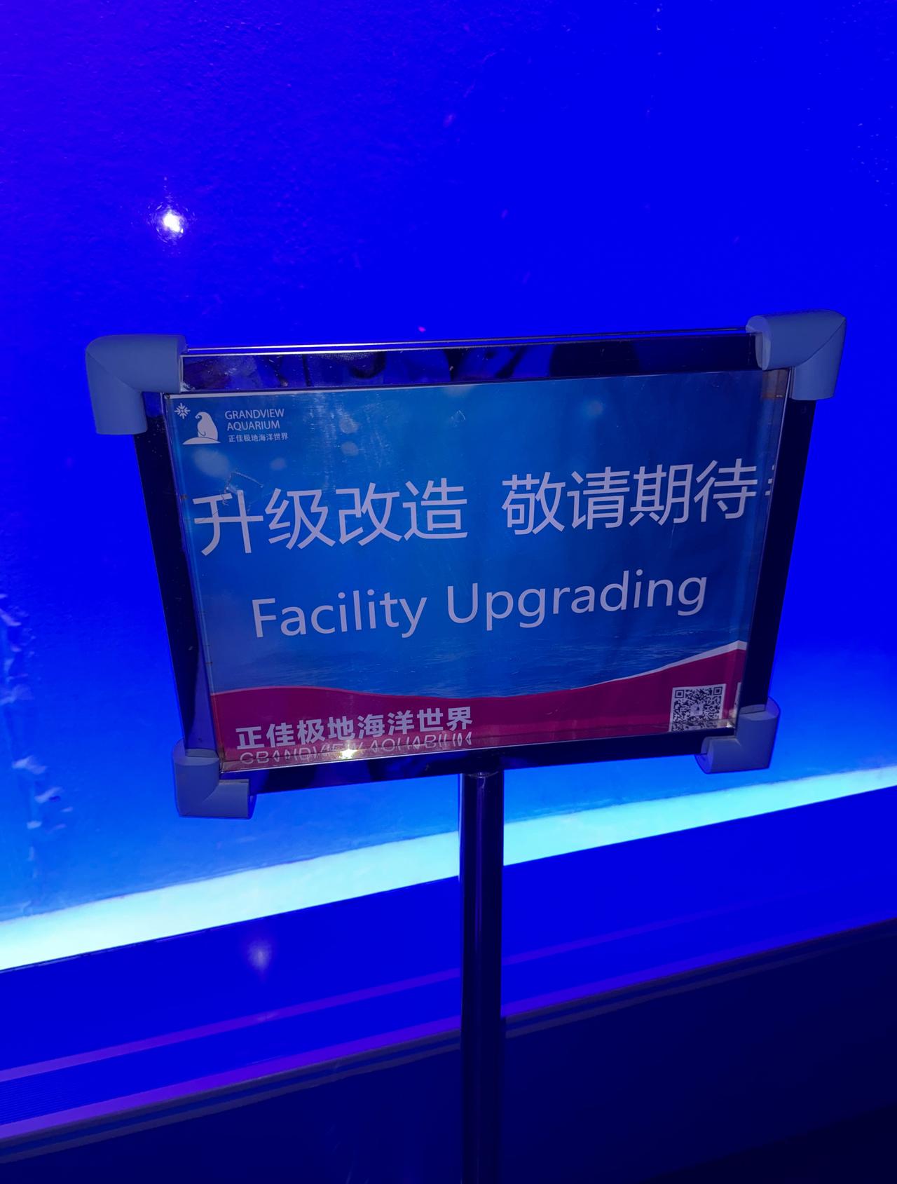 被诈骗了水母墙呢...​​​