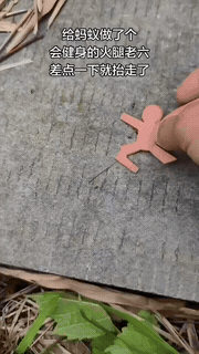 给小蚂蚁整了个迷你健身火腿，造型小巧还自带“健身器材”既视感。刚摆好没多久