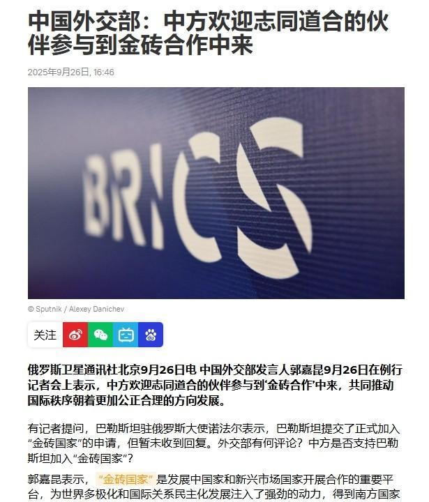巴勒斯坦申请加入金砖，中方4个字回应冲上外网热搜，以色列美国全都破防了“巴勒斯