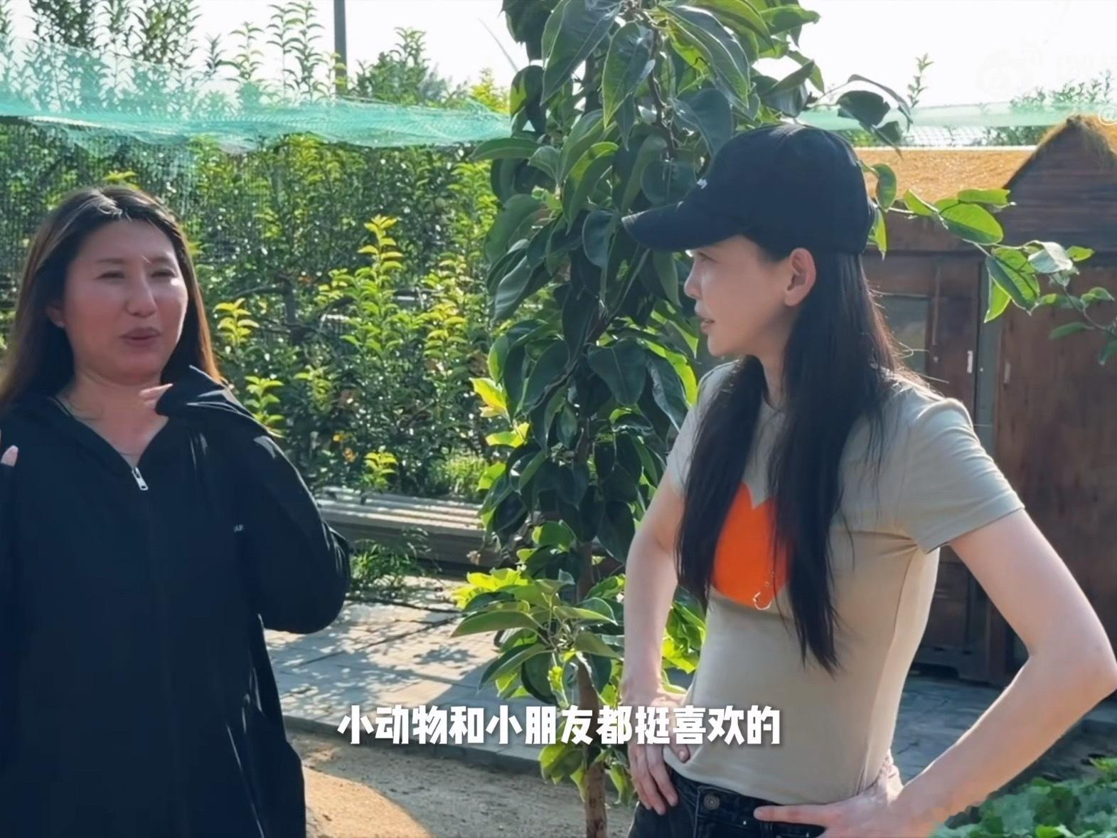 #于文文见大橘被虐后仍摇尾巴#探访河北保定猫咪救助小院，于文文遇见命运坎坷的大橘。一年前它遭人用铁签
