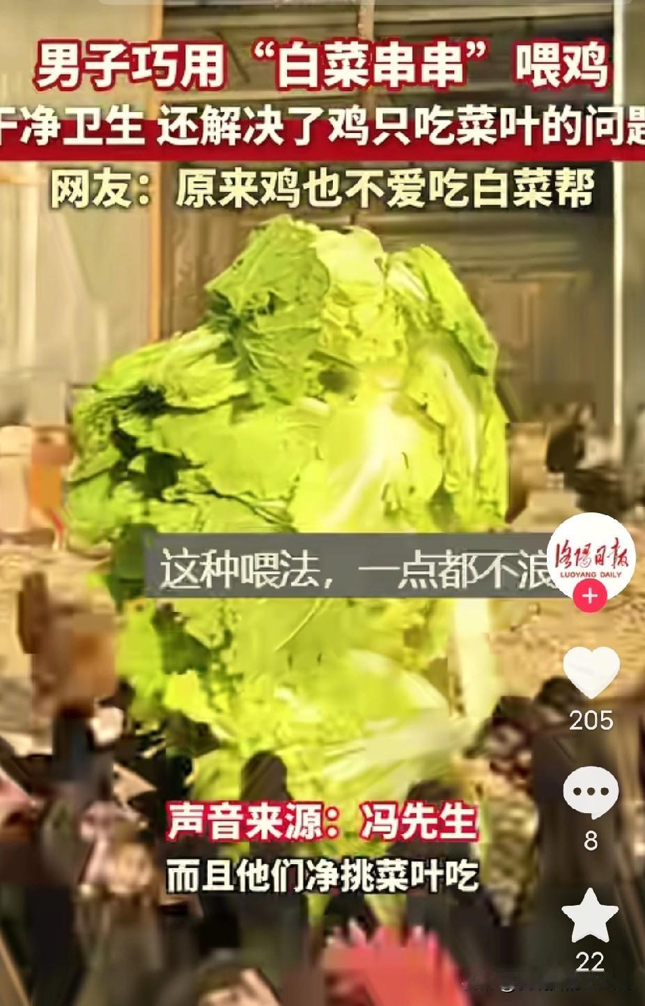 这方法绝了！从此喂鸡干净又省心，还治好了鸡“挑食”的毛病！据媒体11月13日的报