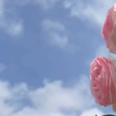 0000龙沙宝石月季种植一、土壤选择：龙沙宝石月季喜欢疏松肥沃、排水良好的微酸性