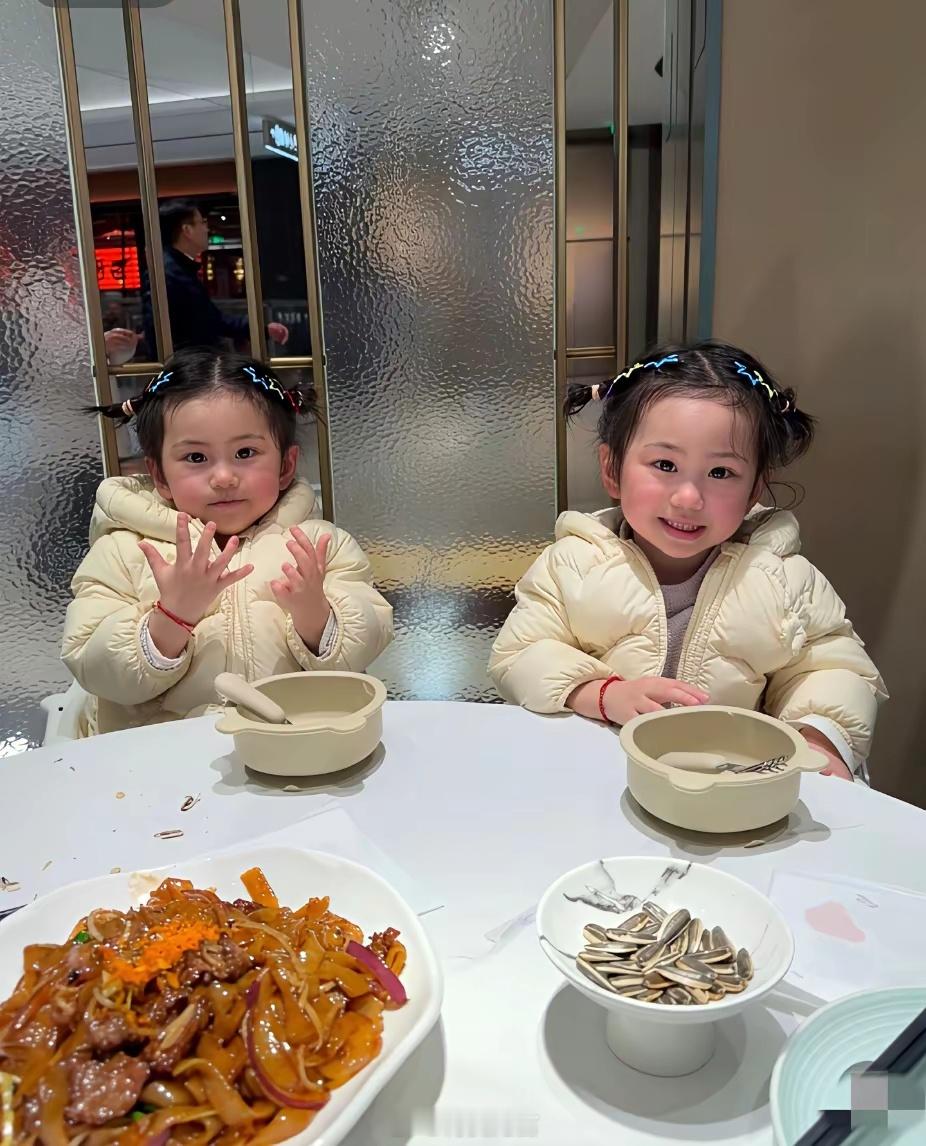 婴儿刚出生时很丑，再养个一两年就变好看了，简直是理想型双胞胎萌娃。