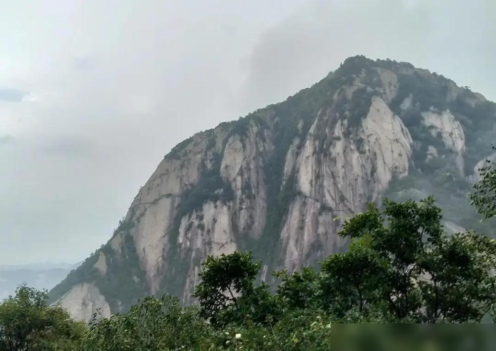 澳大利亚两次倒在附加赛，剧本几乎一模一样。第一次输给阿根廷，认了。其实最让澳