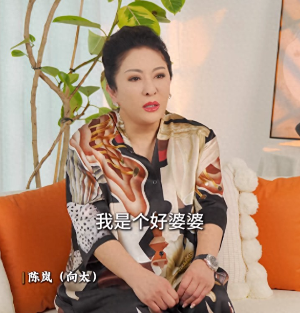 向太陈岚说，我对郭碧婷这个媳妇，可以说是百依百顺！她想在台北替家人买块地，我