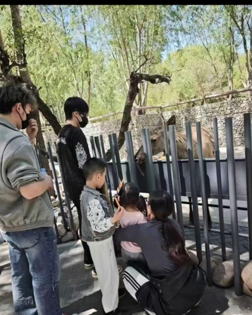 王楚钦说喜欢小动物温暖大男孩的温柔从不会缺席！王楚钦对小动物的偏爱，藏着最自然