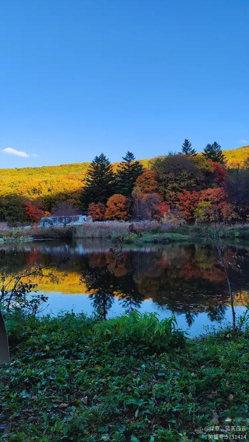 大山里的原生美景，宛如一幅未经雕琢的天然画卷，令人心驰神往。清晨，薄雾缭绕在群山