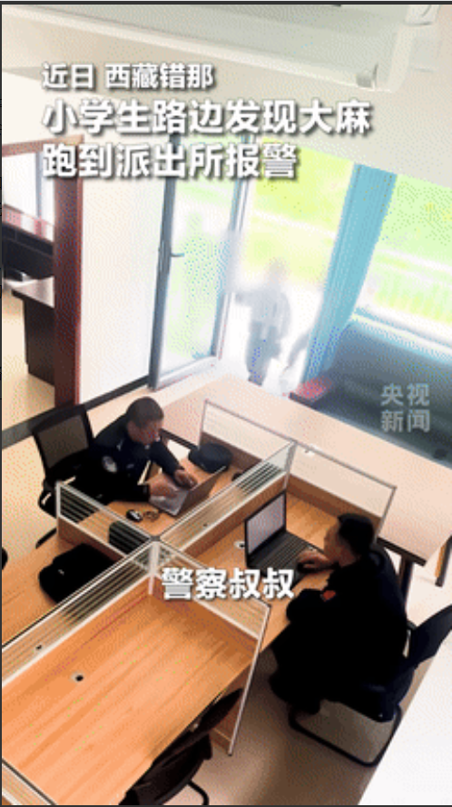 “火到人民日报了！”西藏，3个小学生来到派出所，民警以为他们遇到什么困难，没想到