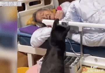 也许这就是养宠物的意义所在吧，你予我一世无忧，我陪你到生命终点！在病床上无力挣扎