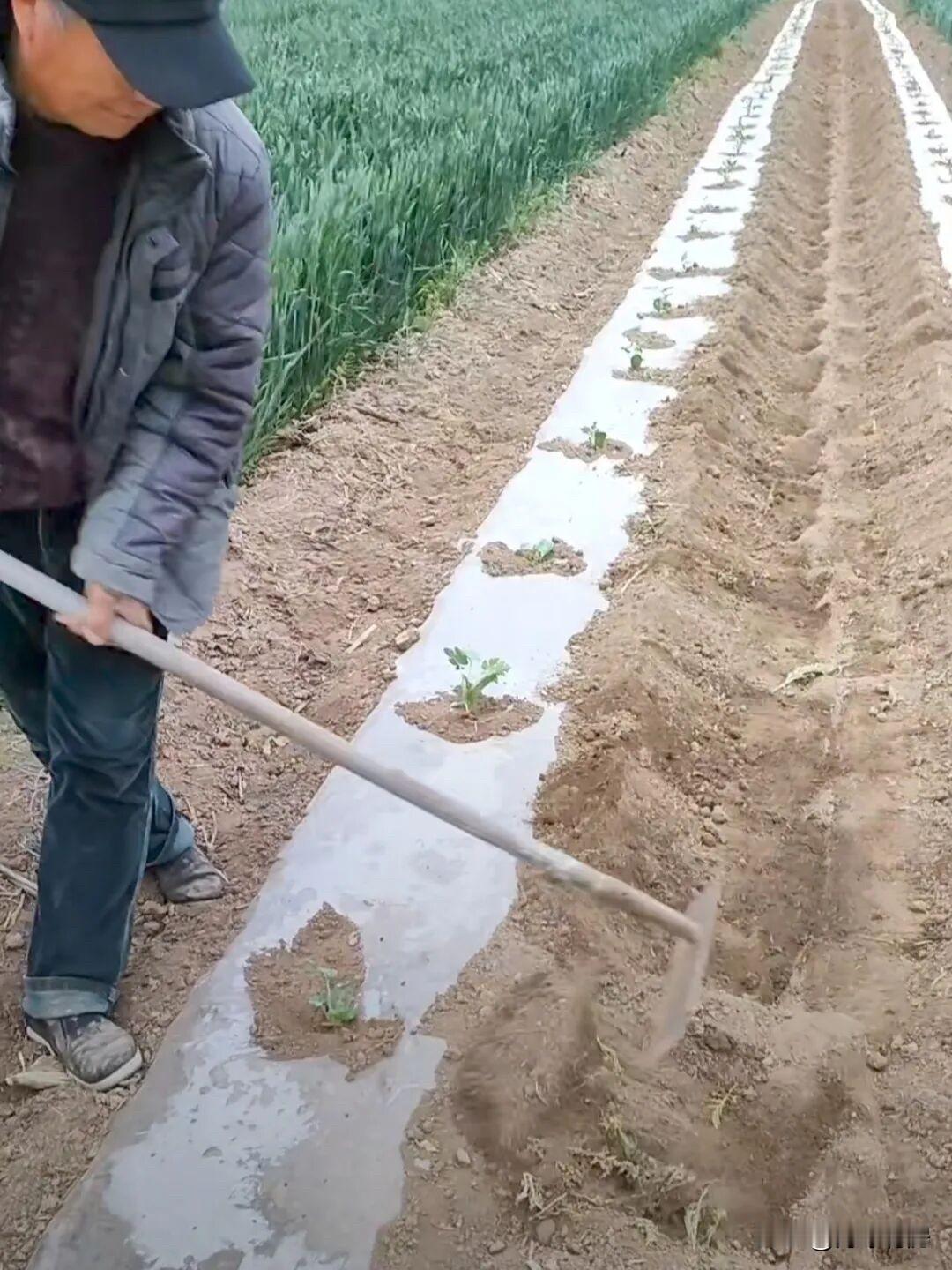 人工智能会降低人类的创造力吗?我越来越觉得，AI真正带来的问题，不是取代创造力，