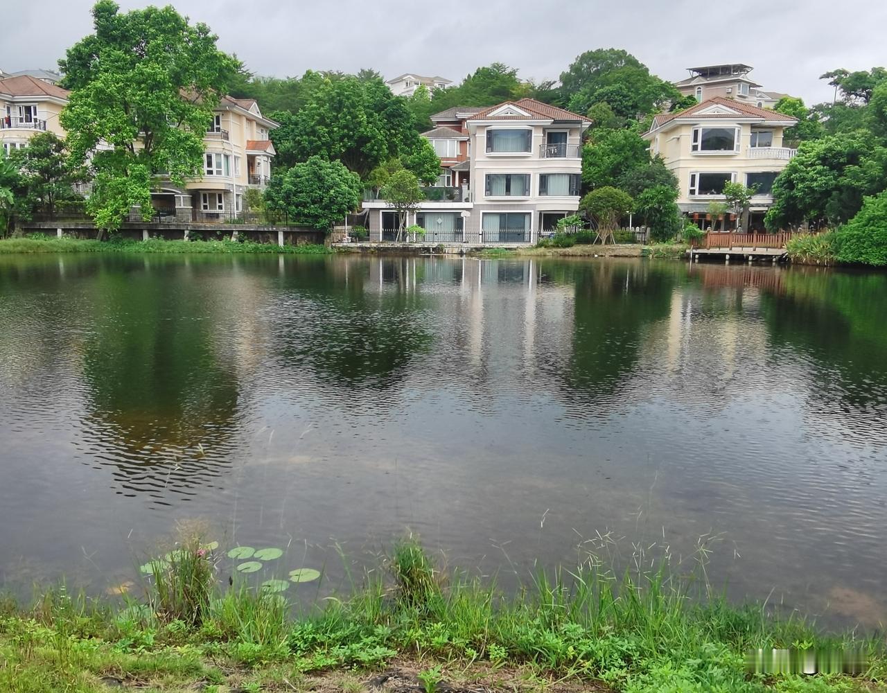 阅读分享：今日感悟一段文字：人生的高度，不是你看清了多少事，而