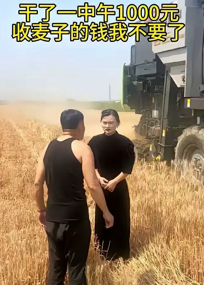 干了一中午1000元，收麦子的钱我不要了。